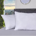 Set x2 almohadas en tela 144 hilos firme borde gris